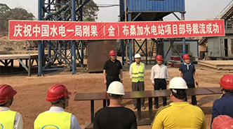 助力一帶一路，剛果（金）布桑加水電站項(xiàng)目過(guò)電壓抑制柜順利交貨